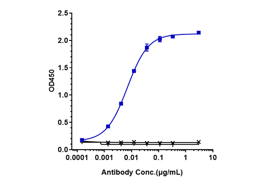 ELISA - Cevostamab Biosimilar - Anti-FCRL5 Antibody - Low endotoxin, Azide free (A323356) - Antibodies.com