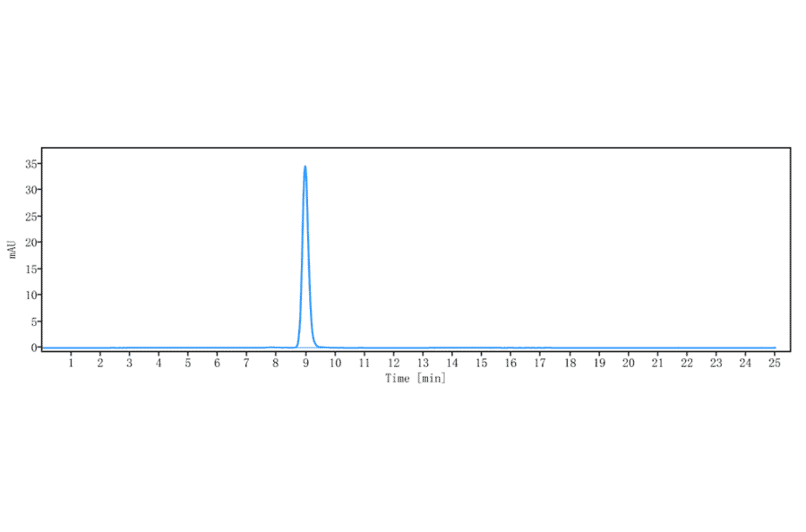 SEC-HPLC - Cinpanemab Biosimilar - Anti-alpha Synuclein Antibody - Low endotoxin, Azide free (A323357) - Antibodies.com
