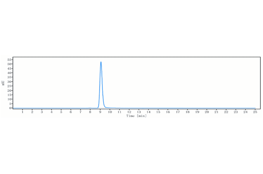SEC-HPLC - Citatuzumab Biosimilar - Anti-EpCAM Antibody - Low endotoxin, Azide free (A323358) - Antibodies.com