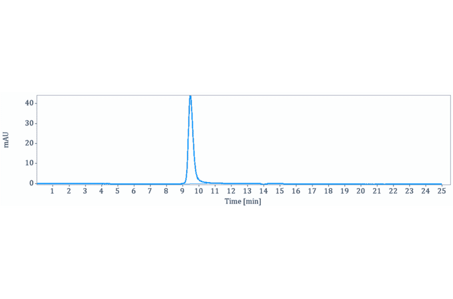 SEC-HPLC - Clazakizumab Biosimilar - Anti-IL-6 Antibody - Low endotoxin, Azide free (A323360) - Antibodies.com