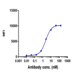 FACS - Codrituzumab Biosimilar - Anti-Glypican 3 Antibody - Low endotoxin, Azide free (A323365) - Antibodies.com
