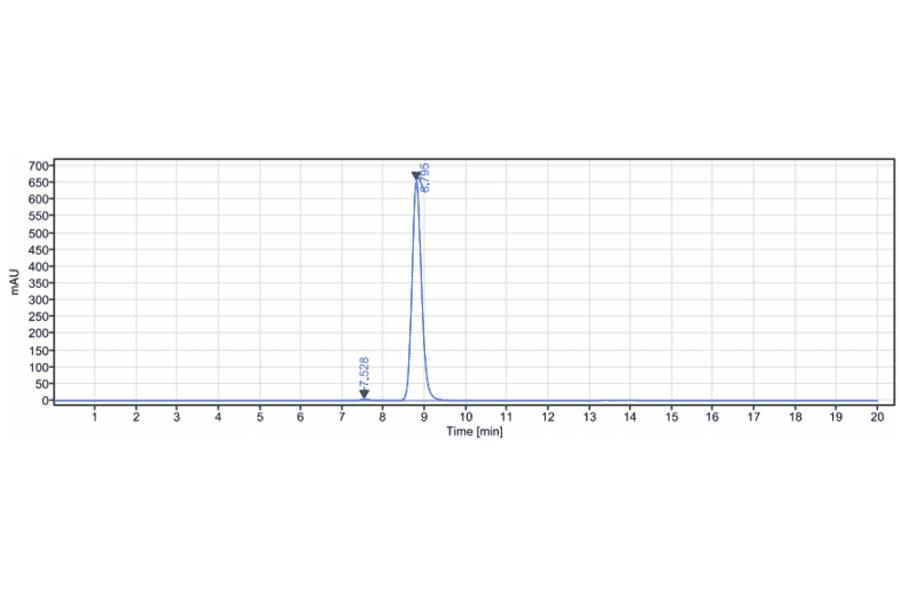 SEC-HPLC - Conatumumab Biosimilar - Anti-DR5 Antibody - Low endotoxin, Azide free (A323368) - Antibodies.com