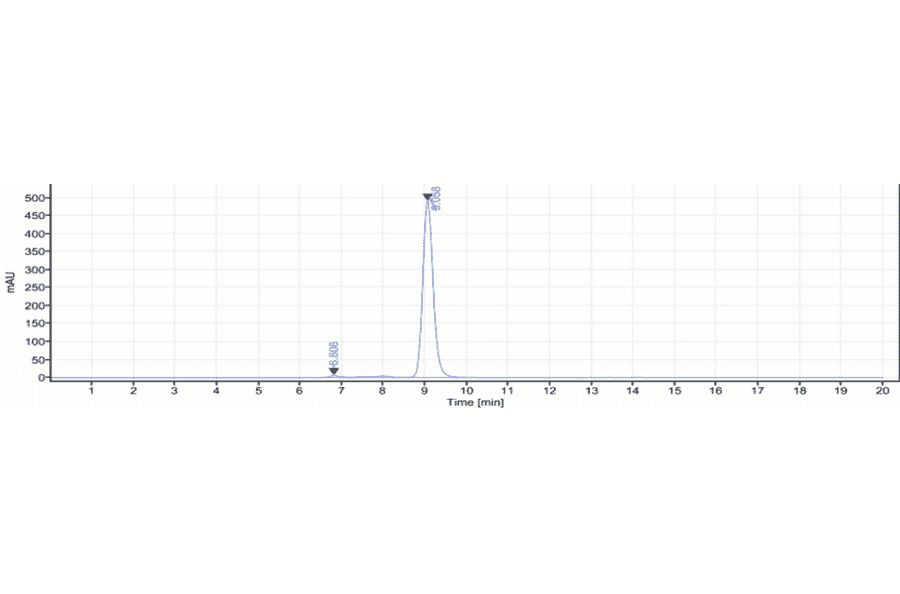 SEC-HPLC - Crotedumab Biosimilar - Anti-Glucagon Receptor Antibody - Low endotoxin, Azide free (A323374) - Antibodies.com