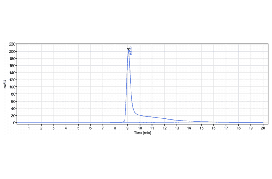 SEC-HPLC - Cusatuzumab Biosimilar - Anti-CD70 Antibody - Low endotoxin, Azide free (A323377) - Antibodies.com