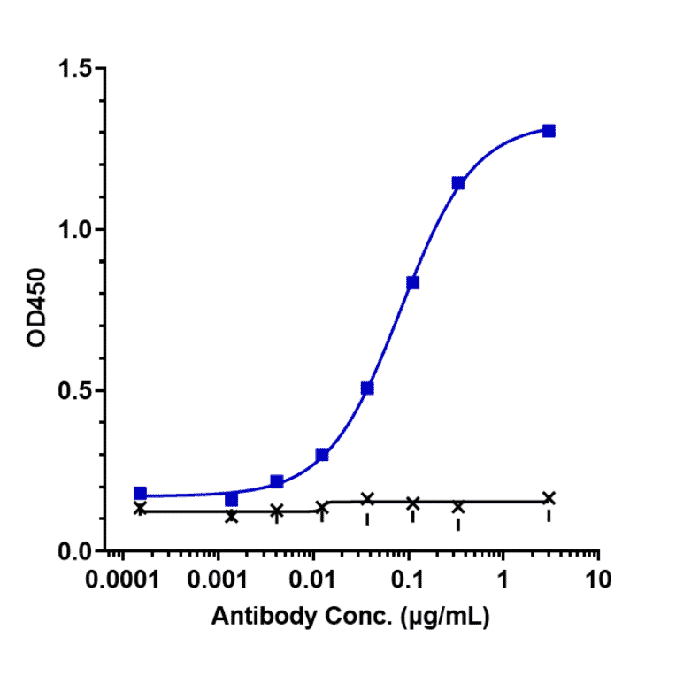 ELISA - Cusatuzumab Biosimilar - Anti-CD70 Antibody - Low endotoxin, Azide free (A323377) - Antibodies.com