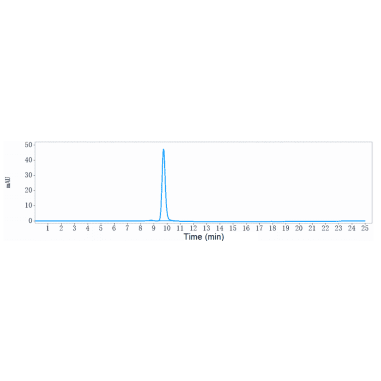 SEC-HPLC - Dalotuzumab Biosimilar - Anti-IGF1 Receptor Antibody - Low endotoxin, Azide free (A323380) - Antibodies.com