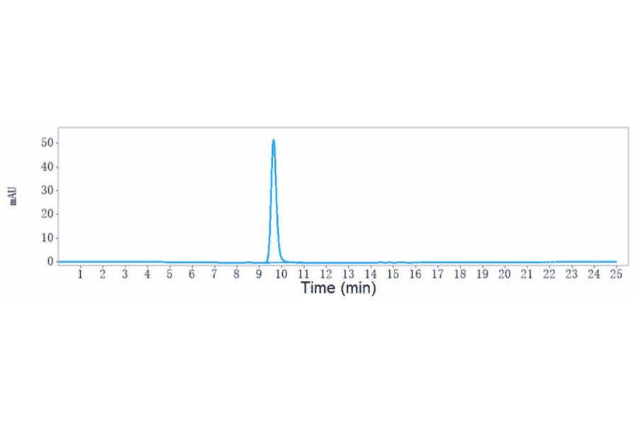 SEC-HPLC - Demupitamab Biosimilar - Anti-EGFR Antibody - Low endotoxin, Azide free (A323387) - Antibodies.com