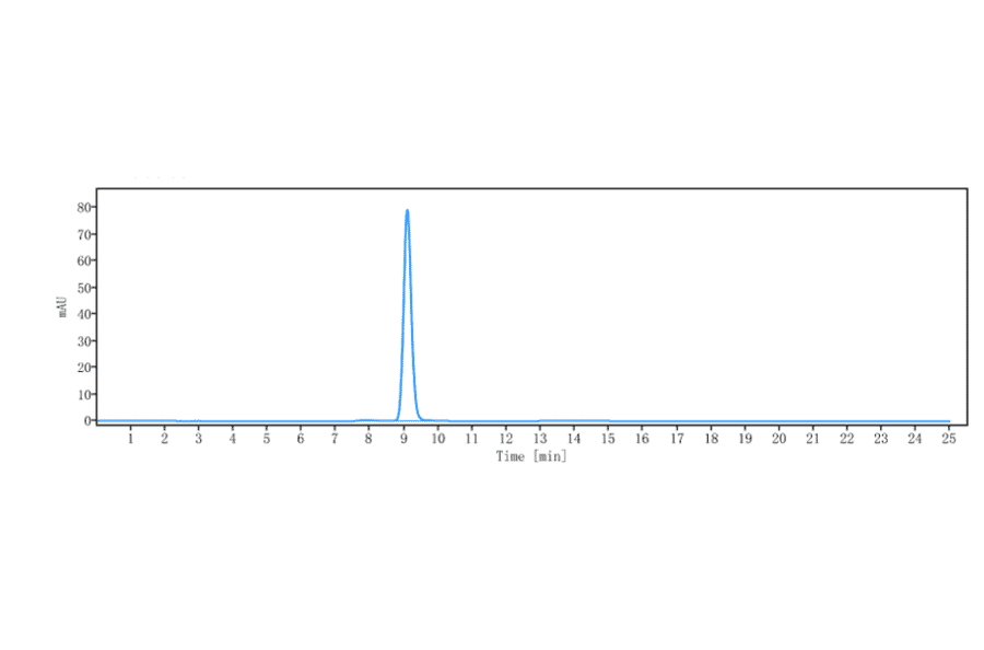 SEC-HPLC - Depatuxizumab Biosimilar - Anti-EGFR Antibody - Low endotoxin, Azide free (A323391) - Antibodies.com