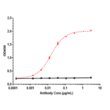 ELISA - Depatuxizumab Biosimilar - Anti-EGFR Antibody - Low endotoxin, Azide free (A323391) - Antibodies.com