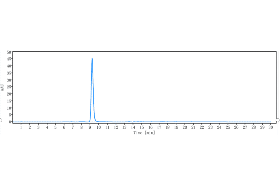 SEC-HPLC - Depemokimab Biosimilar - Anti-IL-5 Antibody - Low endotoxin, Azide free (A323392) - Antibodies.com