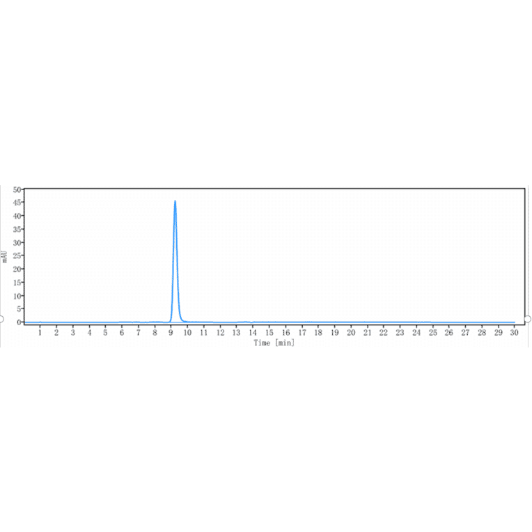 SEC-HPLC - Depemokimab Biosimilar - Anti-IL-5 Antibody - Low endotoxin, Azide free (A323392) - Antibodies.com