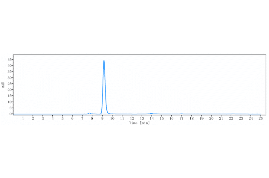 SEC-HPLC - Dezamizumab Biosimilar - Anti-Serum Amyloid P Antibody - Low endotoxin, Azide free (A323394) - Antibodies.com