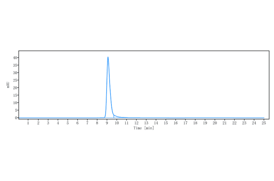 SEC-HPLC - Dinutuximab Biosimilar - Anti-Ganglioside GD2 Antibody - Low endotoxin, Azide free (A323395) - Antibodies.com