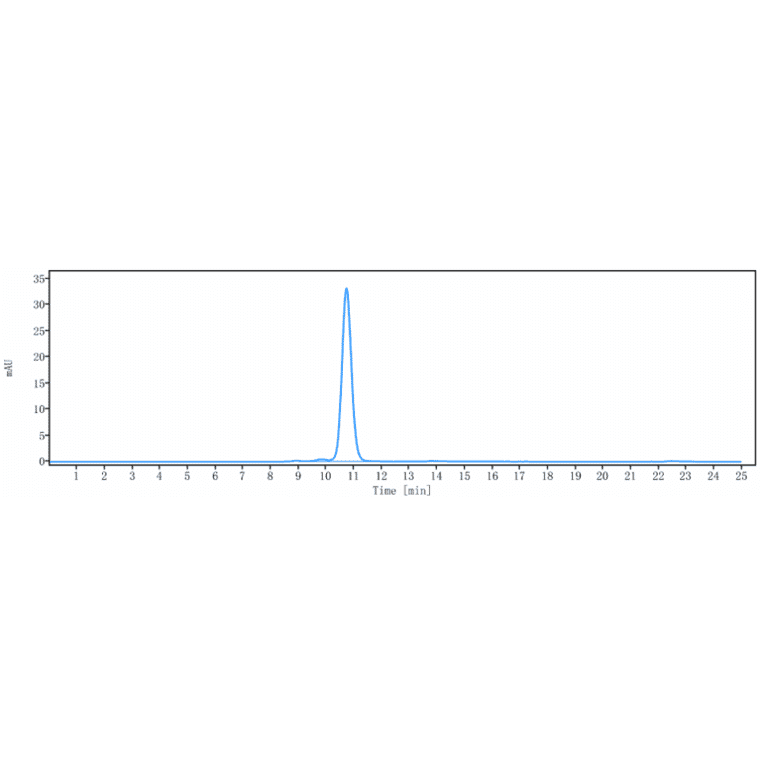 SEC-HPLC - Disitamab Biosimilar - Anti-ErbB2/HER2 Antibody - Low endotoxin, Azide free (A323397) - Antibodies.com