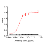 ELISA - Disitamab Biosimilar - Anti-ErbB2/HER2 Antibody - Low endotoxin, Azide free (A323397) - Antibodies.com