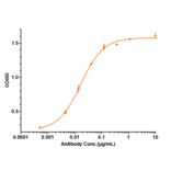 ELISA - Divozilimab Biosimilar - Anti-CD20 Antibody - Low endotoxin, Azide free (A323398) - Antibodies.com