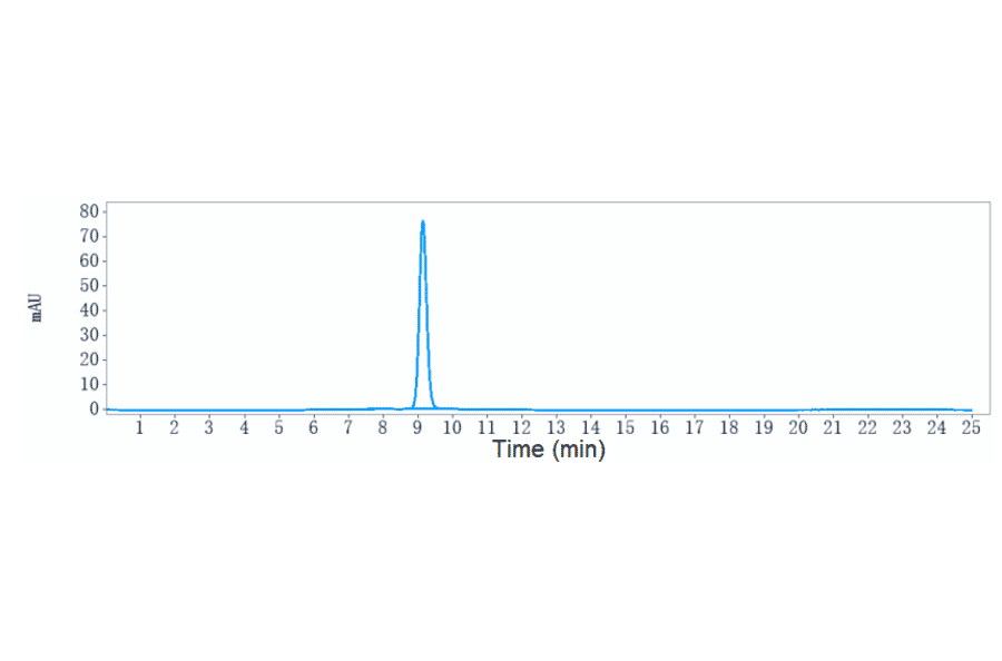 SEC-HPLC - Dostarlimab Biosimilar - Anti-PD1 Antibody - Low endotoxin, Azide free (A323401) - Antibodies.com