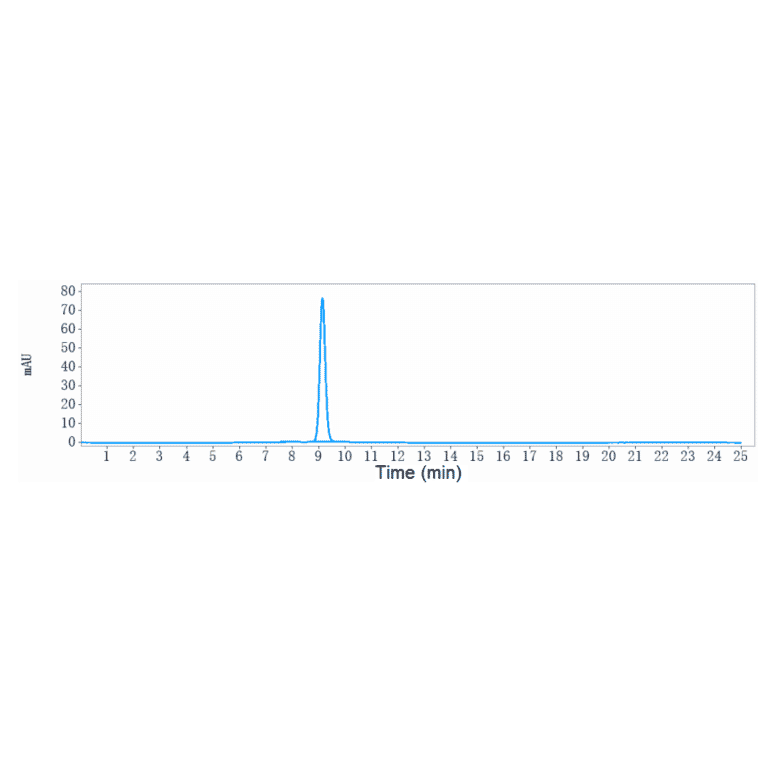 SEC-HPLC - Dostarlimab Biosimilar - Anti-PD1 Antibody - Low endotoxin, Azide free (A323401) - Antibodies.com