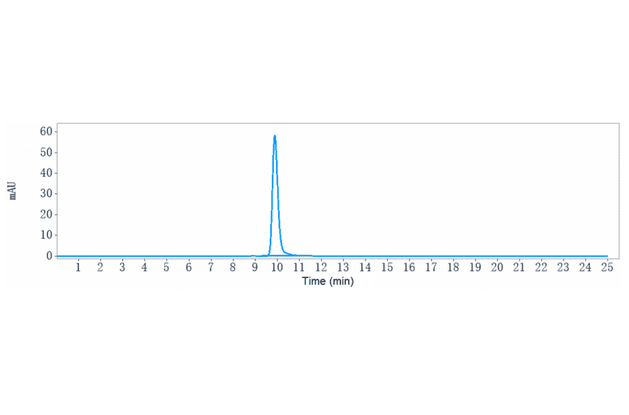 SEC-HPLC - Drozitumab Biosimilar - Anti-DR5 Antibody - Low endotoxin, Azide free (A323402) - Antibodies.com