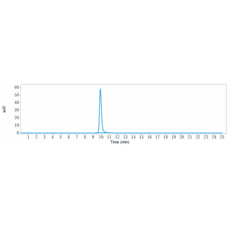 SEC-HPLC - Drozitumab Biosimilar - Anti-DR5 Antibody - Low endotoxin, Azide free (A323402) - Antibodies.com