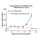 Research in vivo - Durvalumab Biosimilar - Anti-PD-L1 Antibody - Low endotoxin, Azide free (A323404) - Antibodies.com