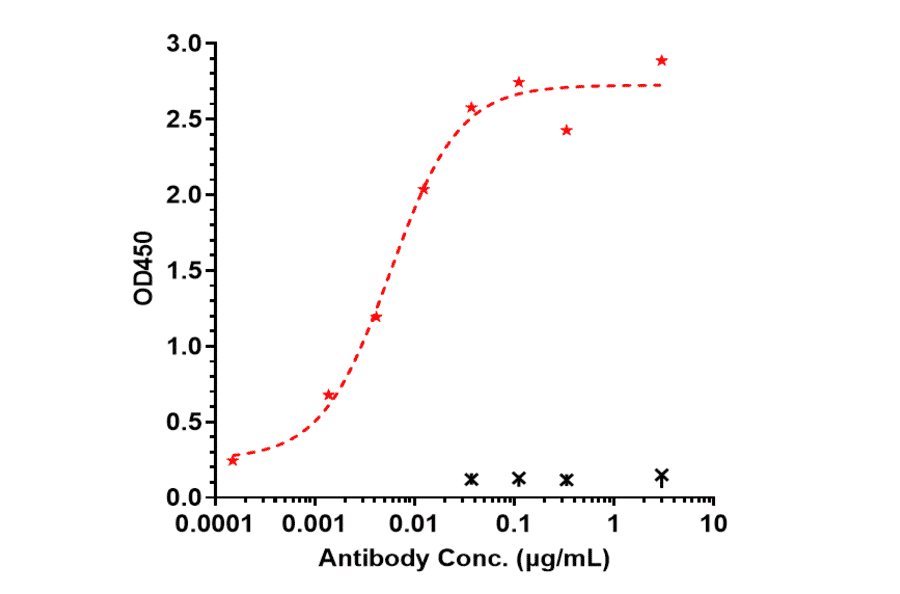 ELISA - Ebdarokimab Biosimilar - Anti-IL-12B Antibody - Low endotoxin, Azide free (A323405) - Antibodies.com