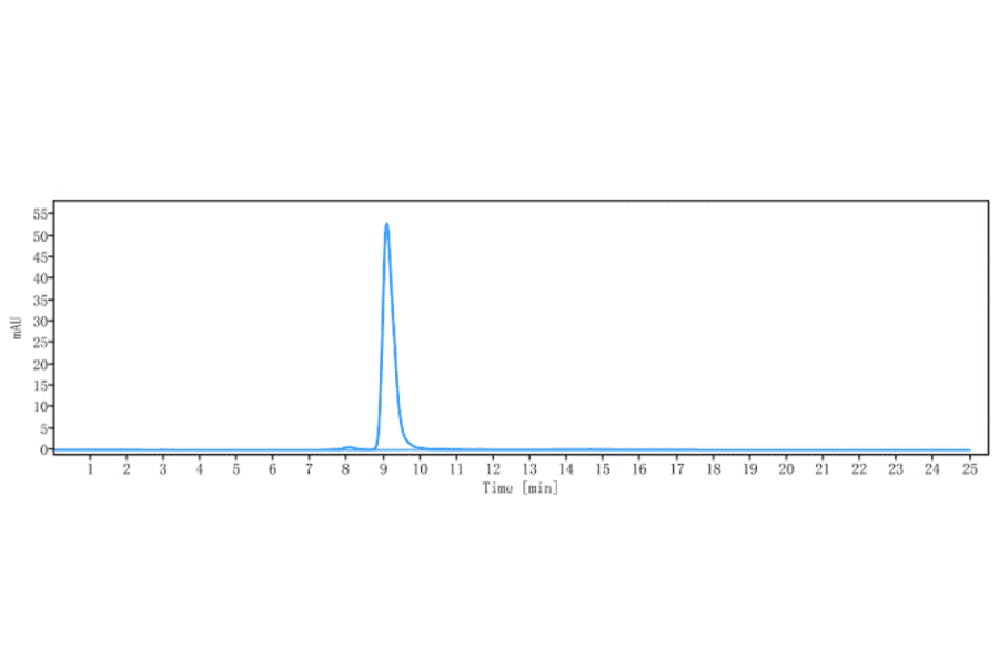 SEC-HPLC - Efalizumab Biosimilar - Anti-CD11a Antibody - Low endotoxin, Azide free (A323410) - Antibodies.com