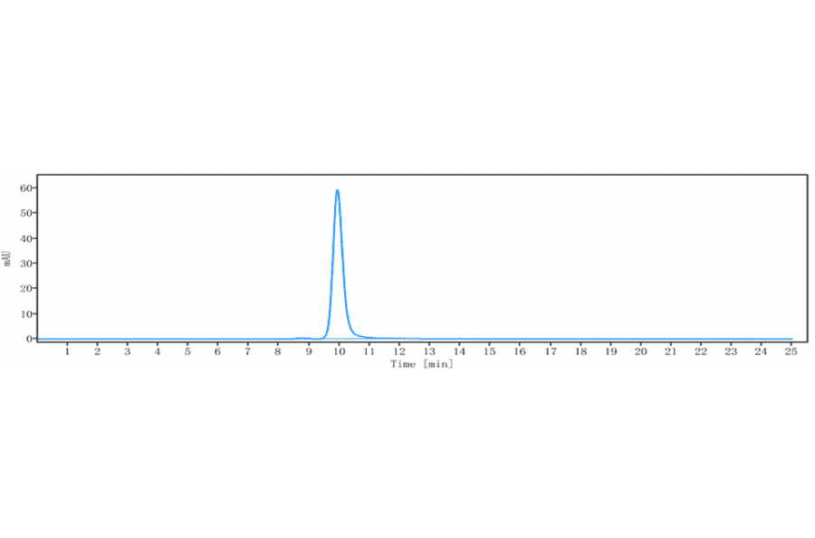 SEC-HPLC - Eldelumab Biosimilar - Anti-IP10 Antibody - Low endotoxin, Azide free (A323411) - Antibodies.com