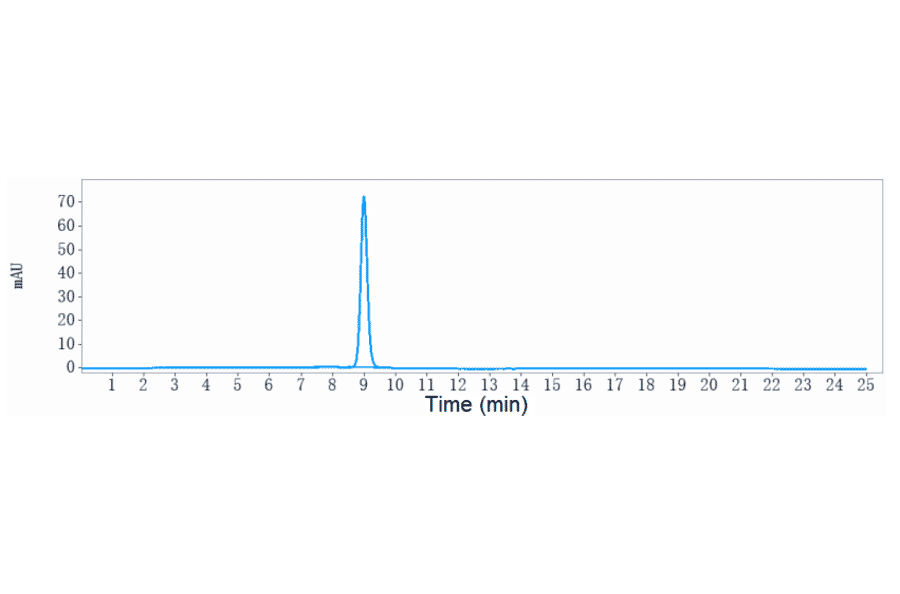 SEC-HPLC - Elsilimomab Biosimilar - Anti-IL-6 Antibody - Low endotoxin, Azide free (A323414) - Antibodies.com