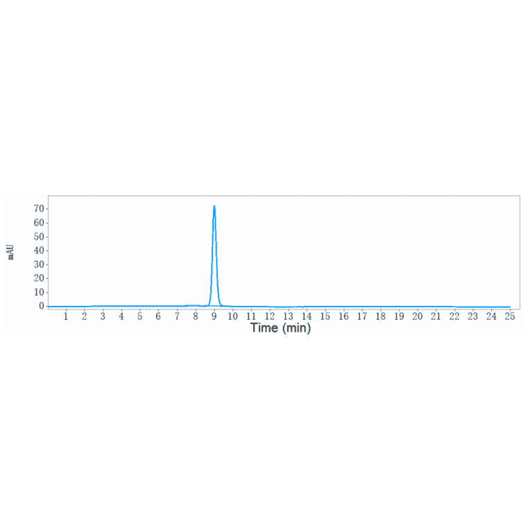 SEC-HPLC - Elsilimomab Biosimilar - Anti-IL-6 Antibody - Low endotoxin, Azide free (A323414) - Antibodies.com