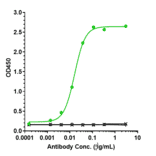 ELISA - Elsilimomab Biosimilar - Anti-IL-6 Antibody - Low endotoxin, Azide free (A323414) - Antibodies.com