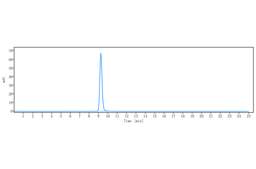 SEC-HPLC - Enfortumab Biosimilar - Anti-Nectin-4 Antibody - Low endotoxin, Azide free (A323423) - Antibodies.com
