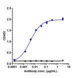 ELISA - Enfortumab Biosimilar - Anti-Nectin-4 Antibody - Low endotoxin, Azide free (A323423) - Antibodies.com
