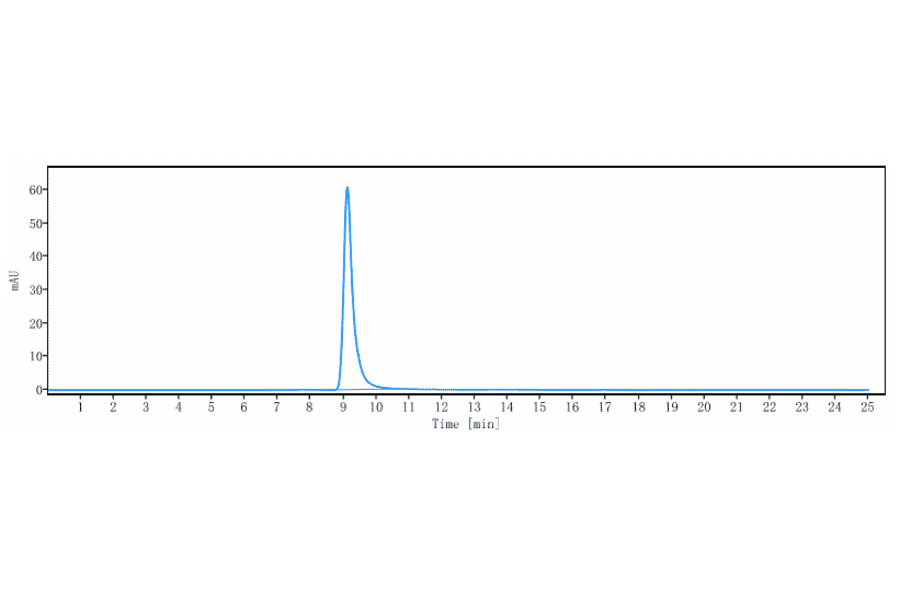 SEC-HPLC - Enibarcimab Biosimilar - Anti-Adrenomedullin/ADM Antibody - Low endotoxin, Azide free (A323425) - Antibodies.com