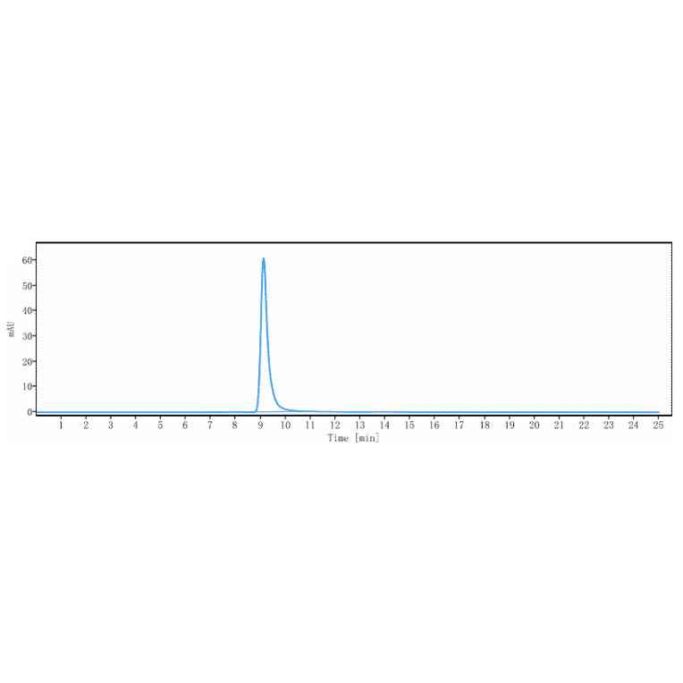 SEC-HPLC - Enibarcimab Biosimilar - Anti-Adrenomedullin/ADM Antibody - Low endotoxin, Azide free (A323425) - Antibodies.com