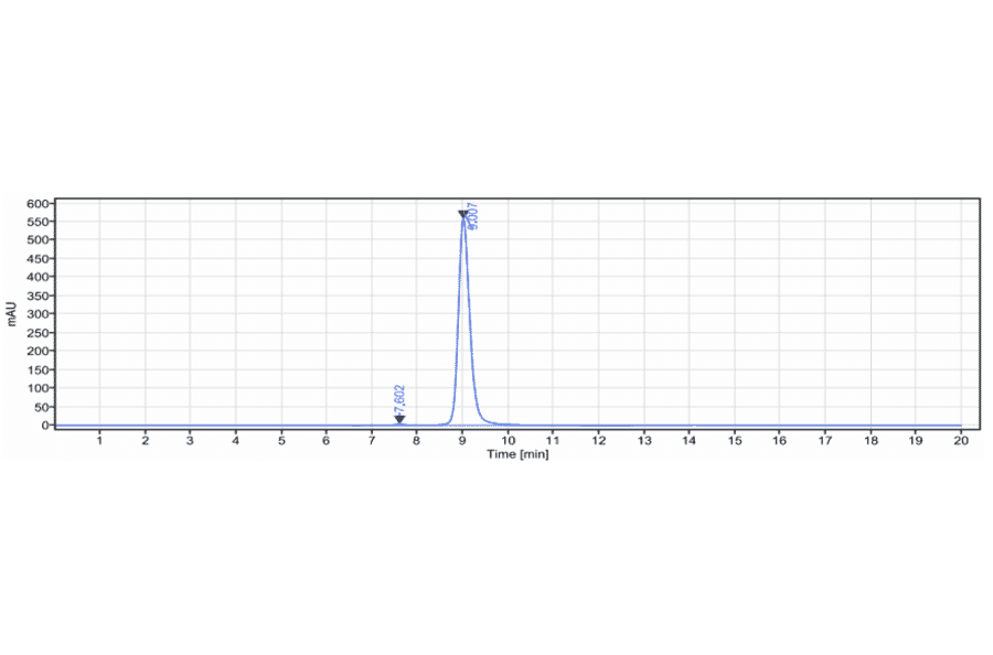 SEC-HPLC - Enoblituzumab Biosimilar - Anti-CD276 Antibody - Low endotoxin, Azide free (A323426) - Antibodies.com