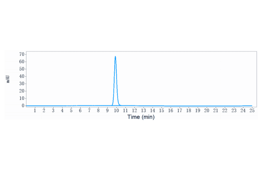 SEC-HPLC - Enoticumab Biosimilar - Anti-DLL4 Antibody - Low endotoxin, Azide free (A323428) - Antibodies.com