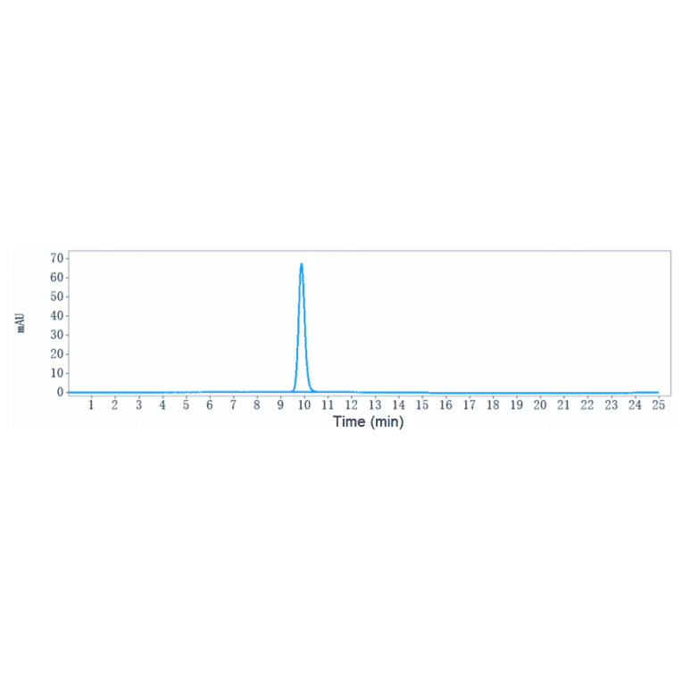 SEC-HPLC - Enoticumab Biosimilar - Anti-DLL4 Antibody - Low endotoxin, Azide free (A323428) - Antibodies.com