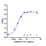 ELISA - Enoticumab Biosimilar - Anti-DLL4 Antibody - Low endotoxin, Azide free (A323428) - Antibodies.com