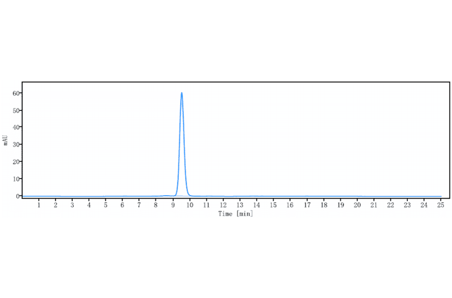 SEC-HPLC - Erenumab Biosimilar - Anti-CRLR Antibody - Low endotoxin, Azide free (A323434) - Antibodies.com