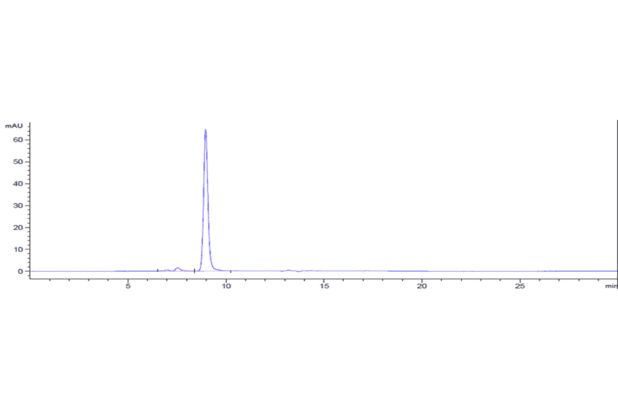SEC-HPLC - Etigilimab Biosimilar - Anti-TIGIT Antibody - Low endotoxin, Azide free (A323437) - Antibodies.com