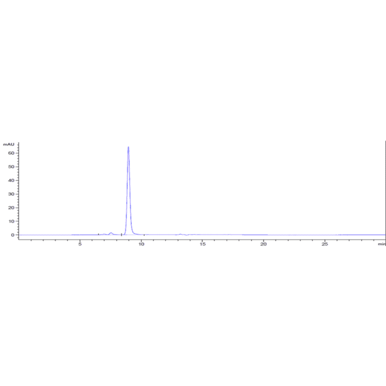 SEC-HPLC - Etigilimab Biosimilar - Anti-TIGIT Antibody - Low endotoxin, Azide free (A323437) - Antibodies.com