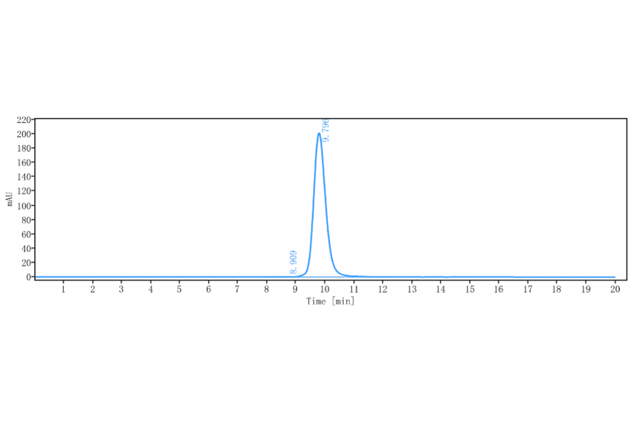 SEC-HPLC - Etokimab Biosimilar - Anti-IL-33 Antibody - Low endotoxin, Azide free (A323438) - Antibodies.com