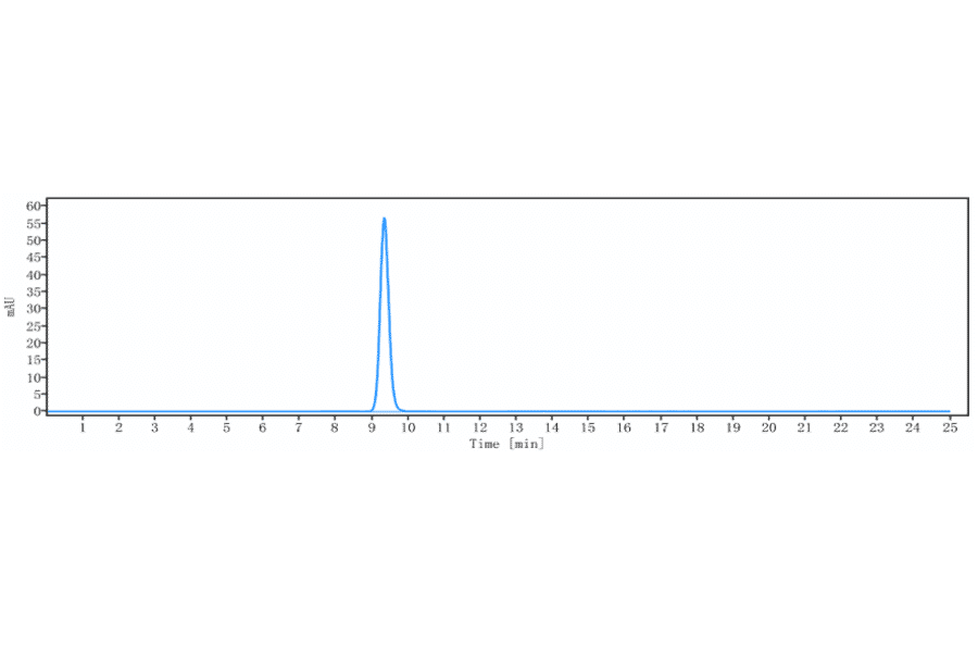 SEC-HPLC - Evinacumab Biosimilar - Anti-ANGPTL3 Antibody - Low endotoxin, Azide free (A323440) - Antibodies.com