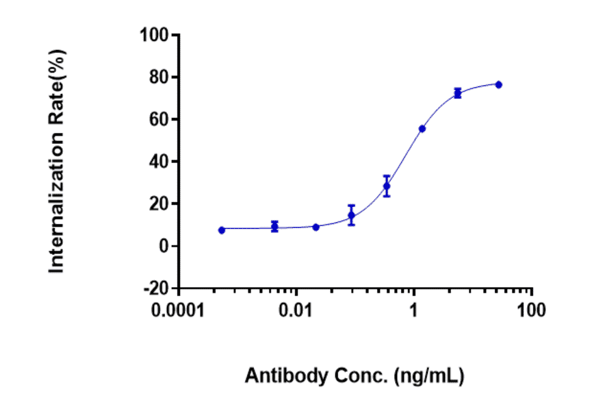 Function:Internalization - Farletuzumab Biosimilar - Anti-Folate Binding Protein/FBP Antibody - Low endotoxin, Azide free (A323445) - Antibodies.com