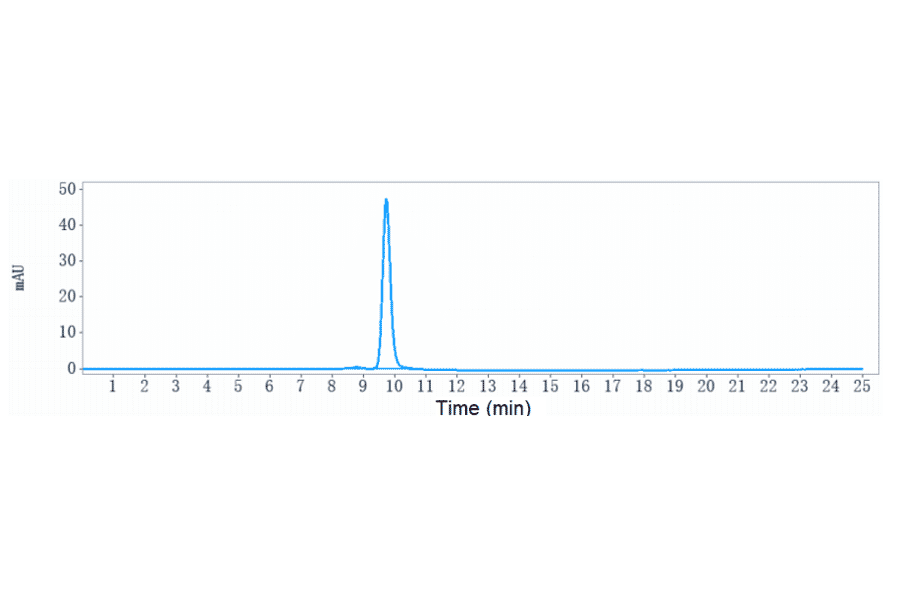 SEC-HPLC - Felzartamab Biosimilar - Anti-CD38 Antibody - Low endotoxin, Azide free (A323449) - Antibodies.com