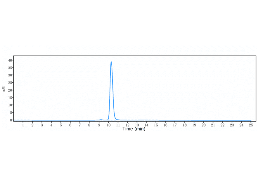 SEC-HPLC - Fontolizumab Biosimilar - Anti-Interferon gamma Antibody - Low endotoxin, Azide free (A323458) - Antibodies.com