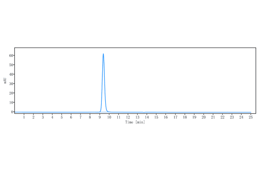 SEC-HPLC - Fremanezumab Biosimilar - Anti-CGRP-I Antibody - Low endotoxin, Azide free (A323461) - Antibodies.com