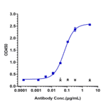 ELISA - Fresolimumab Biosimilar - Anti-TGF beta 1 Antibody - Low endotoxin, Azide free (A323462) - Antibodies.com