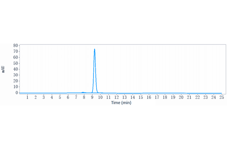 SEC-HPLC - Fulranumab Biosimilar - Anti-NGF Antibody - Low endotoxin, Azide free (A323464) - Antibodies.com